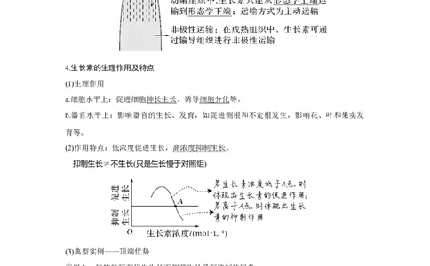 第26讲　植物生命活动的调节_新高考复习资料_2023年新高考复习资料_一轮复习_2023年新高考大一轮复习讲义_2023年高考生物一轮复习讲义（新人教新高考）_赠补充习题