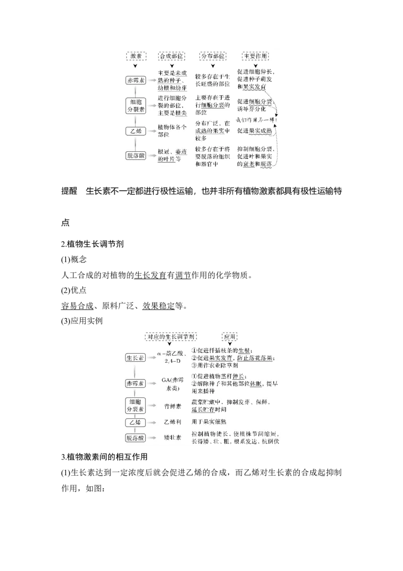 第26讲植物的激素调节_通用版（老高考）复习资料_2023年复习资料_一轮复习_2023年高考生物一轮复习讲义+课件（全国版）_2023年高考生物一轮复习讲义（全国版）_赠补充习题