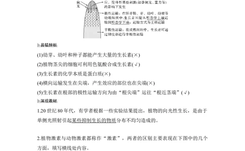 第26讲植物的激素调节_通用版（老高考）复习资料_2023年复习资料_一轮复习_2023年高考生物一轮复习讲义+课件（全国版）_2023年高考生物一轮复习讲义（全国版）_赠补充习题