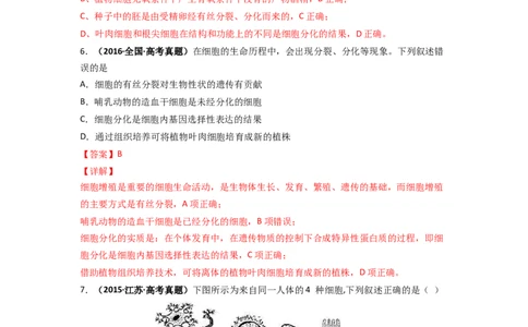 第18讲细胞的分化-精准备考备战2023年高考生物一轮复习精品讲义（生物学必修1）（解析版）_通用版（老高考）复习资料_2023年复习资料_一轮复习