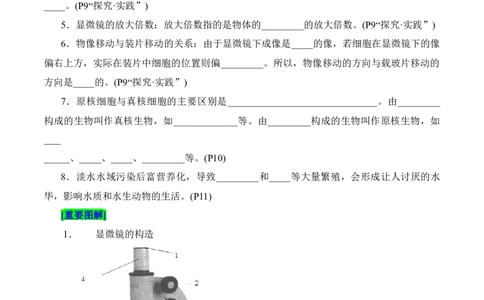 第1章走近细胞（填空版）_2025年新高考资料_专项复习_晨读晚默备战2025年高考生物必背知识清单_第1章走近细胞-晨读晚默备战2025年高考生物必背知识清单