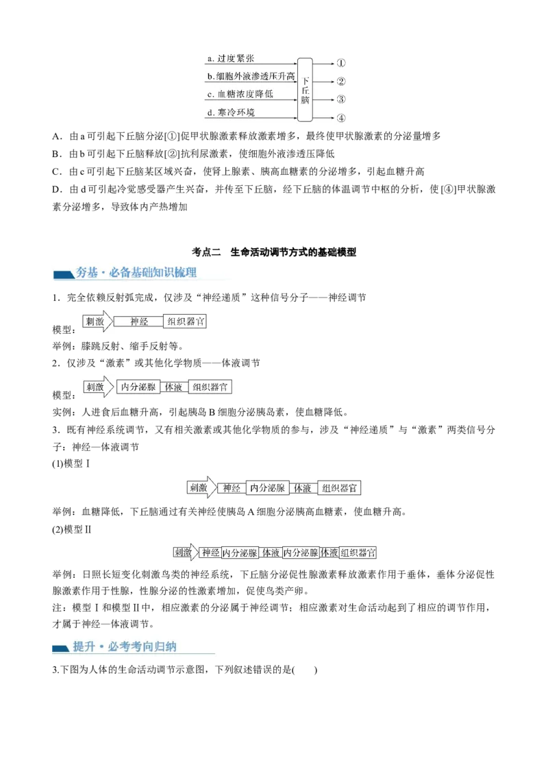 第31讲动物生命活动调节的综合分析（讲义）（学生版）_新高考复习资料_2024年新高考复习资料_一轮复习资料_完2024年高考生物一轮复习讲练测(课件+讲义+练习)（新高考）_讲义+练习