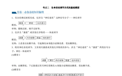 第31讲动物生命活动调节的综合分析（讲义）（学生版）_新高考复习资料_2024年新高考复习资料_一轮复习资料_完2024年高考生物一轮复习讲练测(课件+讲义+练习)（新高考）_讲义+练习