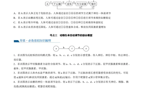 第31讲动物生命活动调节的综合分析（讲义）（学生版）_新高考复习资料_2024年新高考复习资料_一轮复习资料_完2024年高考生物一轮复习讲练测(课件+讲义+练习)（新高考）_讲义+练习