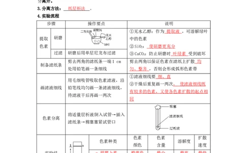 第16讲光合作用与能量转化-精准备考备战2023年高考生物一轮复习精品讲义（生物学必修1）（原卷版）_通用版（老高考）复习资料_2023年复习资料_一轮复习