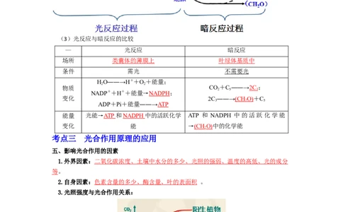 第16讲光合作用与能量转化-精准备考备战2023年高考生物一轮复习精品讲义（生物学必修1）（原卷版）_通用版（老高考）复习资料_2023年复习资料_一轮复习