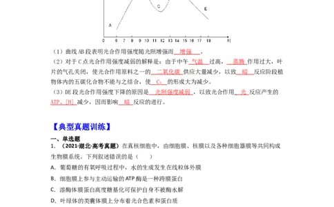 第16讲光合作用与能量转化-精准备考备战2023年高考生物一轮复习精品讲义（生物学必修1）（原卷版）_通用版（老高考）复习资料_2023年复习资料_一轮复习