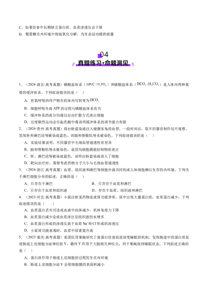 第24讲内环境与稳态（讲义）（原卷版）_2025年新高考资料_一轮复习_2025年高考生物一轮复习讲练测（新教材新高考）