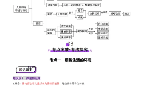 第24讲内环境与稳态（讲义）（原卷版）_2025年新高考资料_一轮复习_2025年高考生物一轮复习讲练测（新教材新高考）