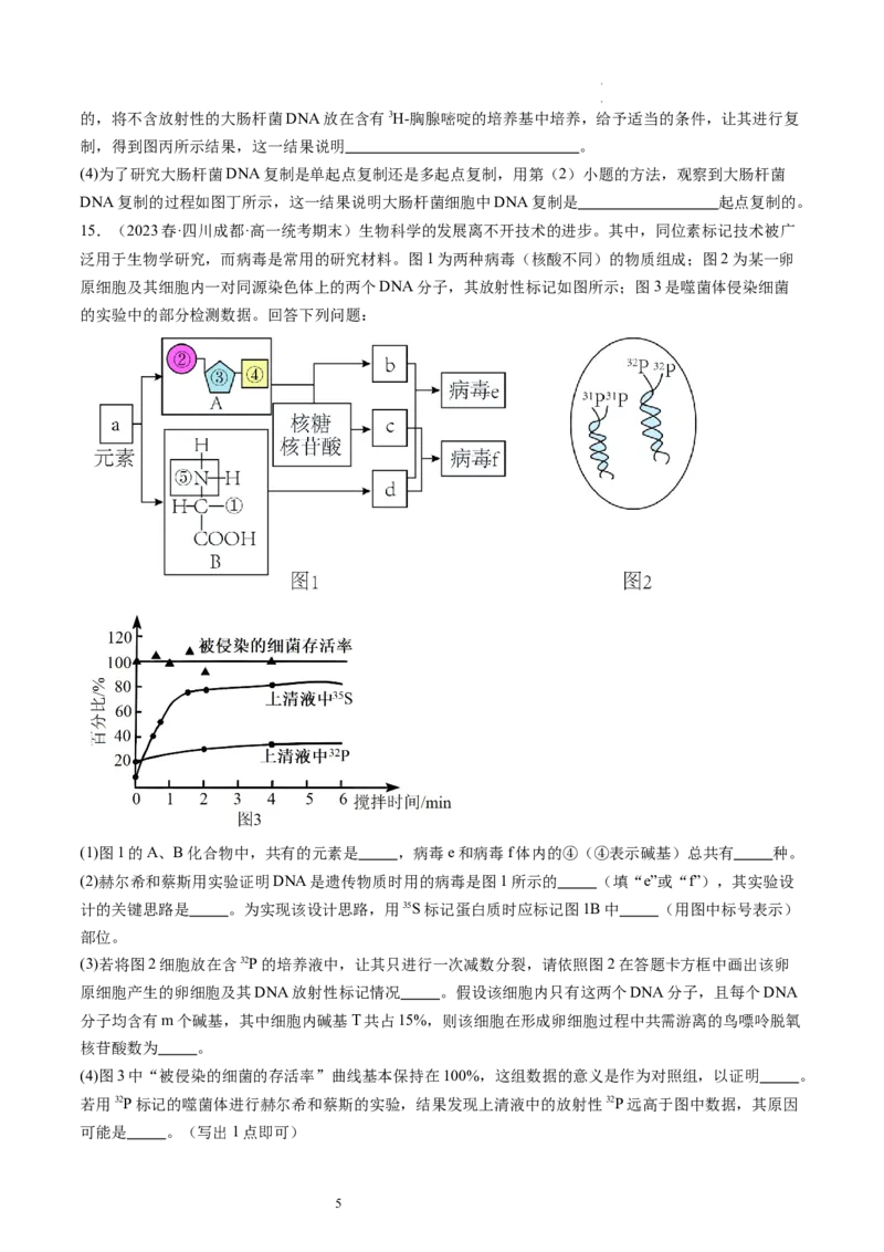 第21讲DNA分子的结构、复制与基因的本质（练习）（原卷版）_新高考复习资料_2024年新高考复习资料_一轮复习资料_完2024年高考生物一轮复习讲练测(课件+讲义+练习)（新高考）