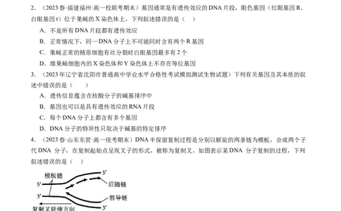 第21讲DNA分子的结构、复制与基因的本质（练习）（原卷版）_新高考复习资料_2024年新高考复习资料_一轮复习资料_完2024年高考生物一轮复习讲练测(课件+讲义+练习)（新高考）