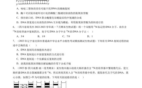第21讲DNA分子的结构、复制与基因的本质（练习）（原卷版）_新高考复习资料_2024年新高考复习资料_一轮复习资料_完2024年高考生物一轮复习讲练测(课件+讲义+练习)（新高考）