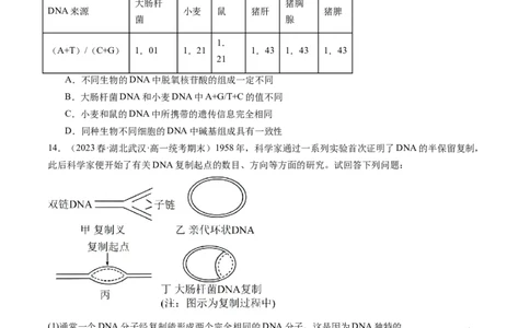 第21讲DNA分子的结构、复制与基因的本质（练习）（原卷版）_新高考复习资料_2024年新高考复习资料_一轮复习资料_完2024年高考生物一轮复习讲练测(课件+讲义+练习)（新高考）
