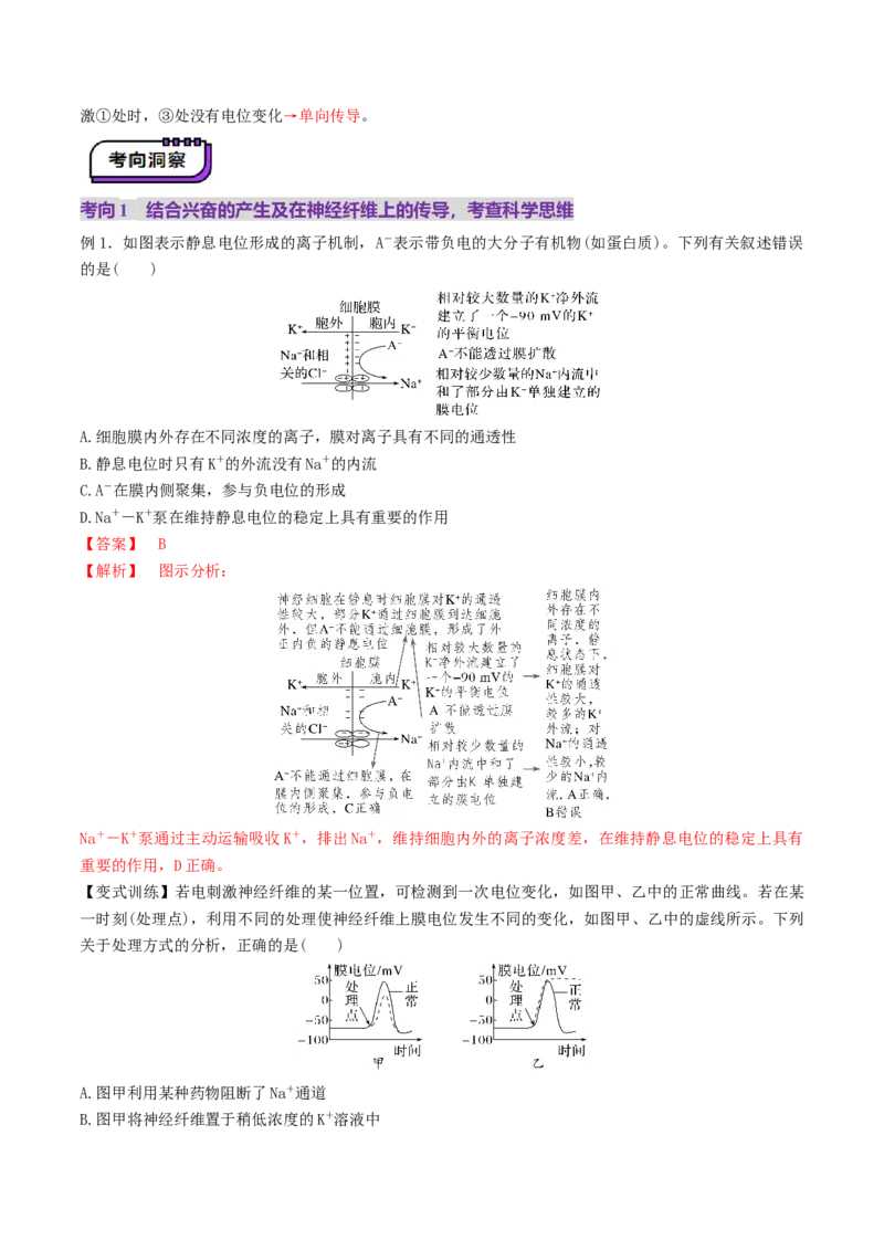 第25讲神经调节（第二课时，神经冲动的产生和传导、神经系统的分级调节和人脑的高级功能）（讲义）（解析版）_2025年新高考资料_一轮复习