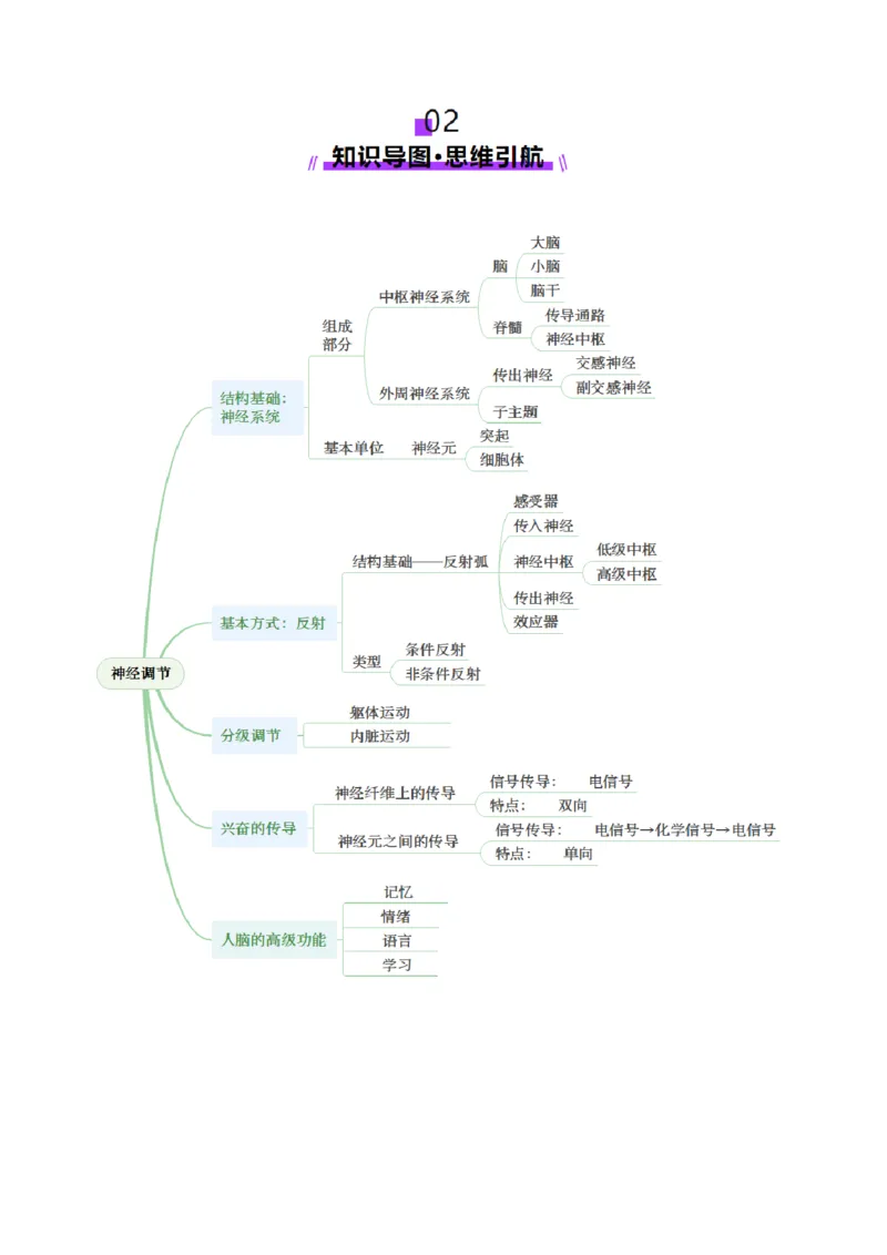 第25讲神经调节（第二课时，神经冲动的产生和传导、神经系统的分级调节和人脑的高级功能）（讲义）（解析版）_2025年新高考资料_一轮复习