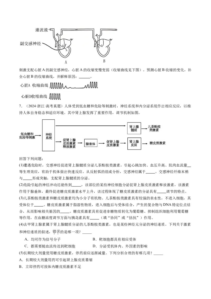 第25讲神经调节（第二课时，神经冲动的产生和传导、神经系统的分级调节和人脑的高级功能）（练习）（原卷版）_2025年新高考资料_一轮复习