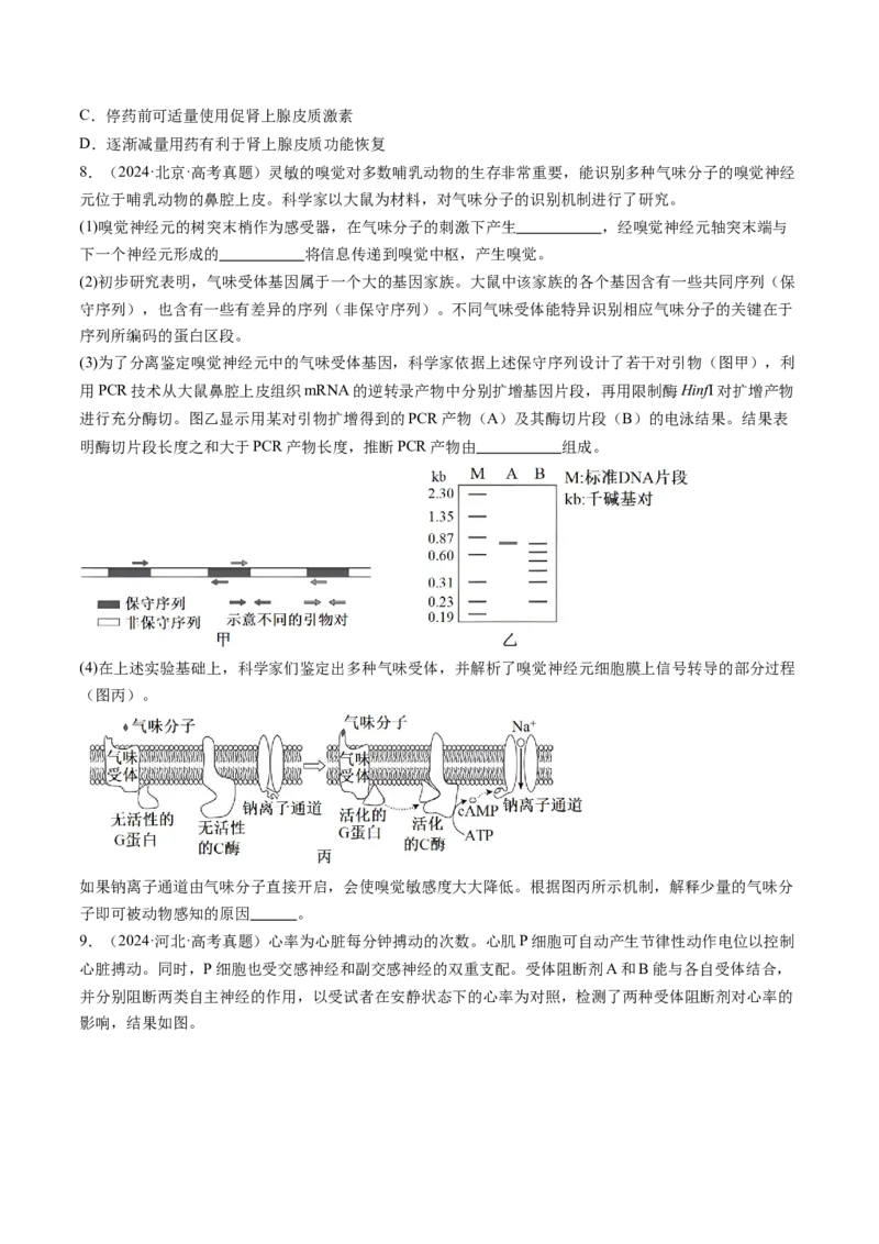 第25讲神经调节（第二课时，神经冲动的产生和传导、神经系统的分级调节和人脑的高级功能）（练习）（原卷版）_2025年新高考资料_一轮复习