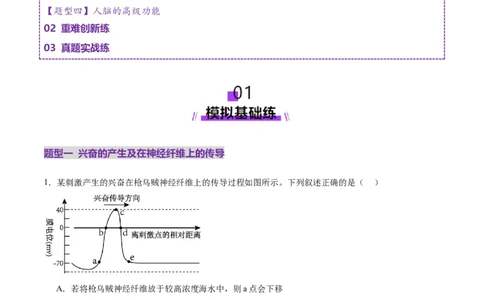 第25讲神经调节（第二课时，神经冲动的产生和传导、神经系统的分级调节和人脑的高级功能）（练习）（原卷版）_2025年新高考资料_一轮复习