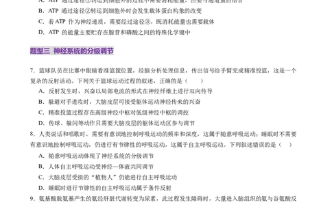 第25讲神经调节（第二课时，神经冲动的产生和传导、神经系统的分级调节和人脑的高级功能）（练习）（原卷版）_2025年新高考资料_一轮复习