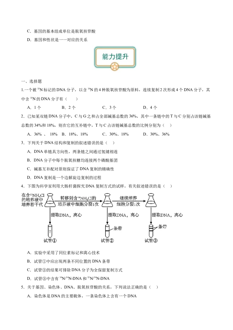 第2讲DNA的结构和复制（原卷版）_通用版（老高考）复习资料_2024年复习资料_完备战2024年高考生物一轮复习考点帮（全国通用）_专题七遗传的物质基础