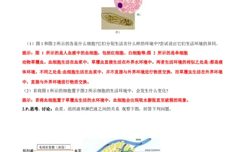 第1章~1_新高考复习资料_2023年新高考复习资料_一轮复习_2023年高考生物一轮复习教材必背细节与旁栏思考梳理汇总（新教材）