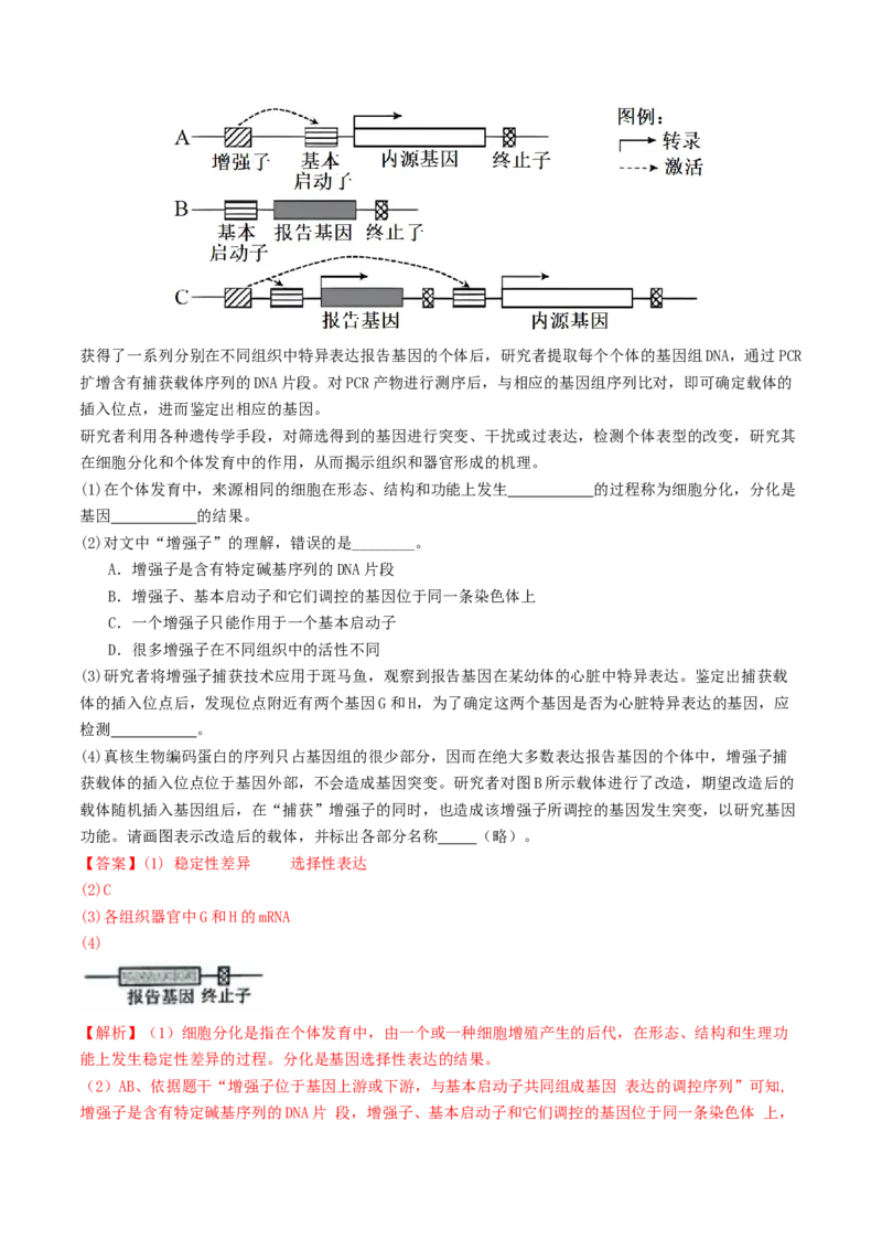第18讲+基因工程（讲义）（解析版）_2025年新高考资料_二轮复习_01高考语文等多个文件_上好课2025年高考生物二轮复习讲练测（新高考通用）