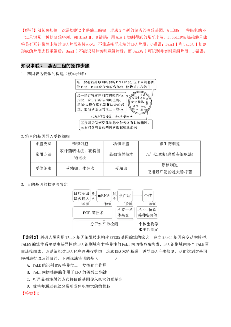 第18讲+基因工程（讲义）（解析版）_2025年新高考资料_二轮复习_01高考语文等多个文件_上好课2025年高考生物二轮复习讲练测（新高考通用）