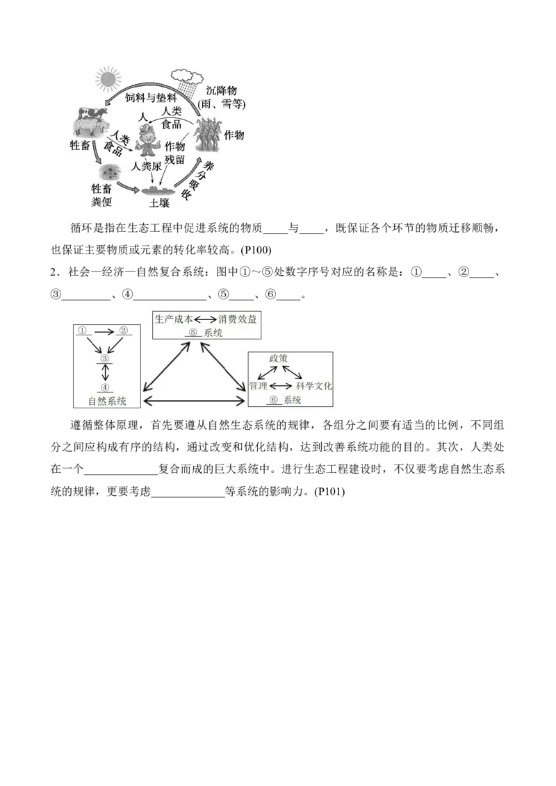 第4章人与环境（填空版）_2025年新高考资料_专项复习_晨读晚默备战2025年高考生物必背知识清单_第4章人与环境-晨读晚默备战2025年高考生物必背知识清单