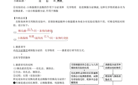 第27讲体液调节（讲义）（教师版）_新高考复习资料_2024年新高考复习资料_一轮复习资料_完2024年高考生物一轮复习讲练测(课件+讲义+练习)（新高考）_讲义+练习