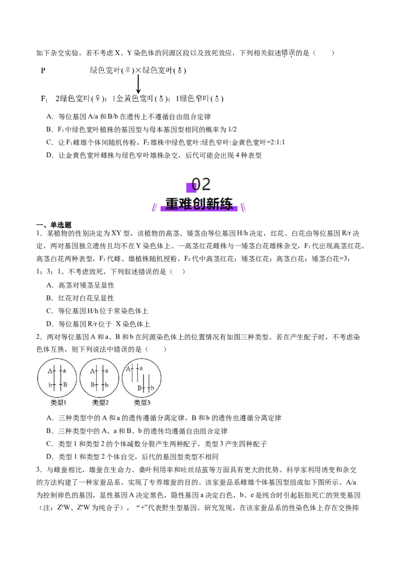 第16讲自由组合定律（第二课时）（练习）（原卷版）_2025年新高考资料_一轮复习_2025年高考生物一轮复习讲练测（新教材新高考）