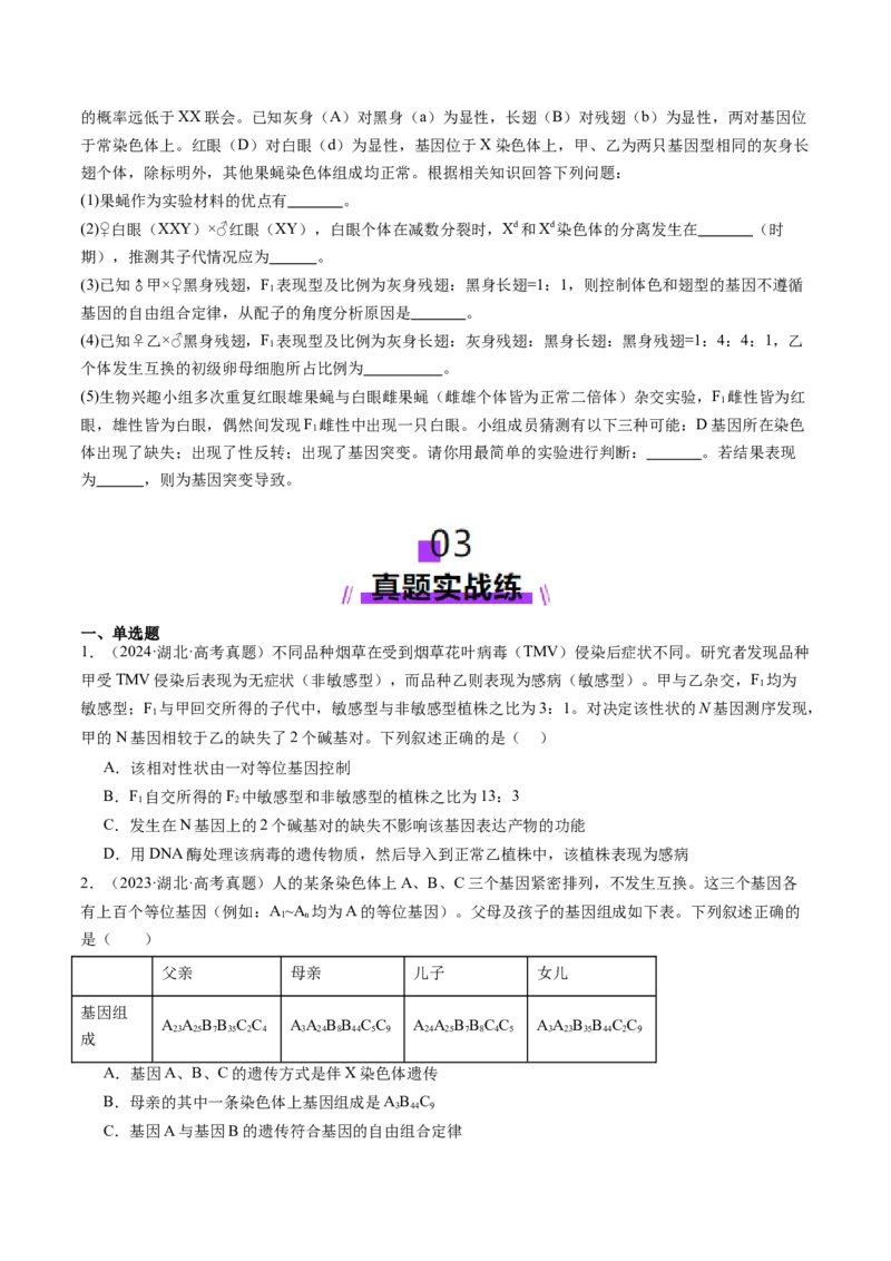 第16讲自由组合定律（第二课时）（练习）（原卷版）_2025年新高考资料_一轮复习_2025年高考生物一轮复习讲练测（新教材新高考）