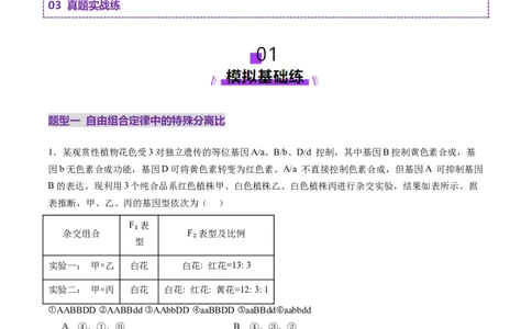 第16讲自由组合定律（第二课时）（练习）（原卷版）_2025年新高考资料_一轮复习_2025年高考生物一轮复习讲练测（新教材新高考）