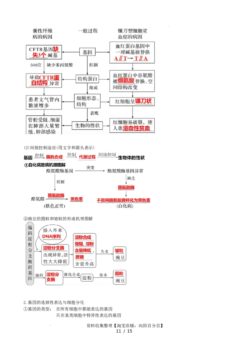 第22讲基因的表达、基因与性状的关系（讲义）（学生版）_新高考复习资料_2024年新高考复习资料_一轮复习资料_完2024年高考生物一轮复习讲练测(课件+讲义+练习)（新高考）_讲义+练习