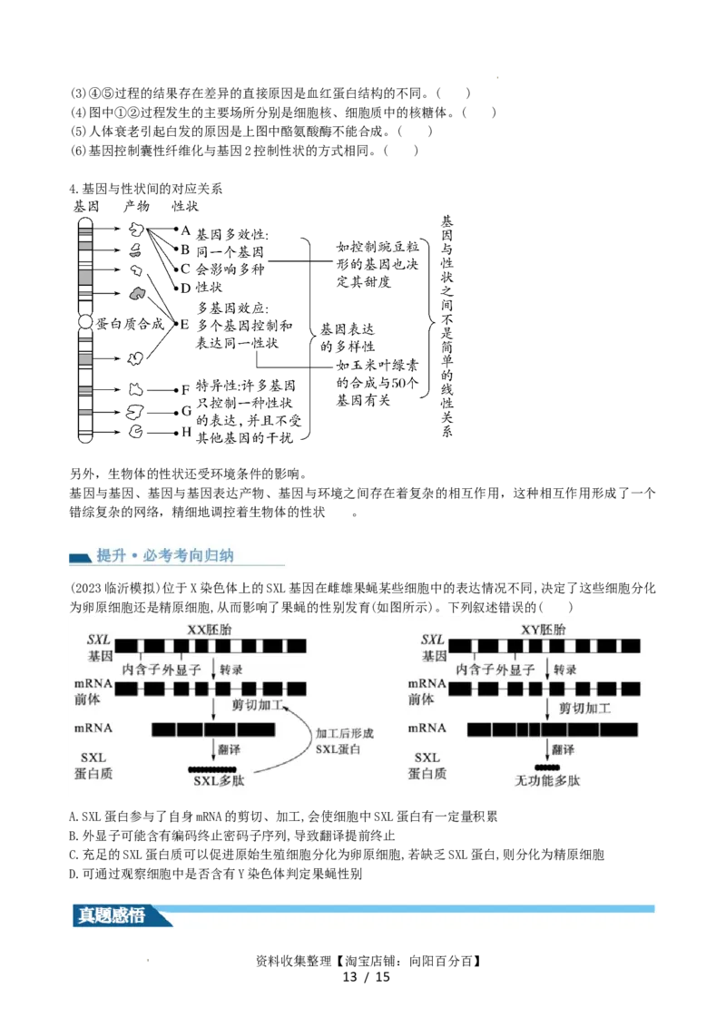 第22讲基因的表达、基因与性状的关系（讲义）（学生版）_新高考复习资料_2024年新高考复习资料_一轮复习资料_完2024年高考生物一轮复习讲练测(课件+讲义+练习)（新高考）_讲义+练习