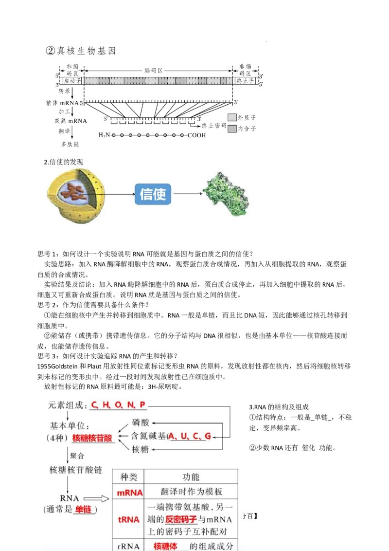 第22讲基因的表达、基因与性状的关系（讲义）（学生版）_新高考复习资料_2024年新高考复习资料_一轮复习资料_完2024年高考生物一轮复习讲练测(课件+讲义+练习)（新高考）_讲义+练习