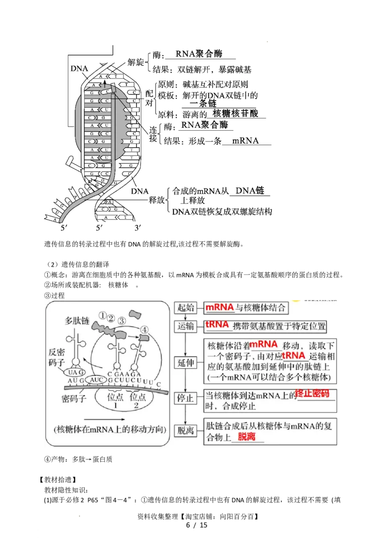 第22讲基因的表达、基因与性状的关系（讲义）（学生版）_新高考复习资料_2024年新高考复习资料_一轮复习资料_完2024年高考生物一轮复习讲练测(课件+讲义+练习)（新高考）_讲义+练习