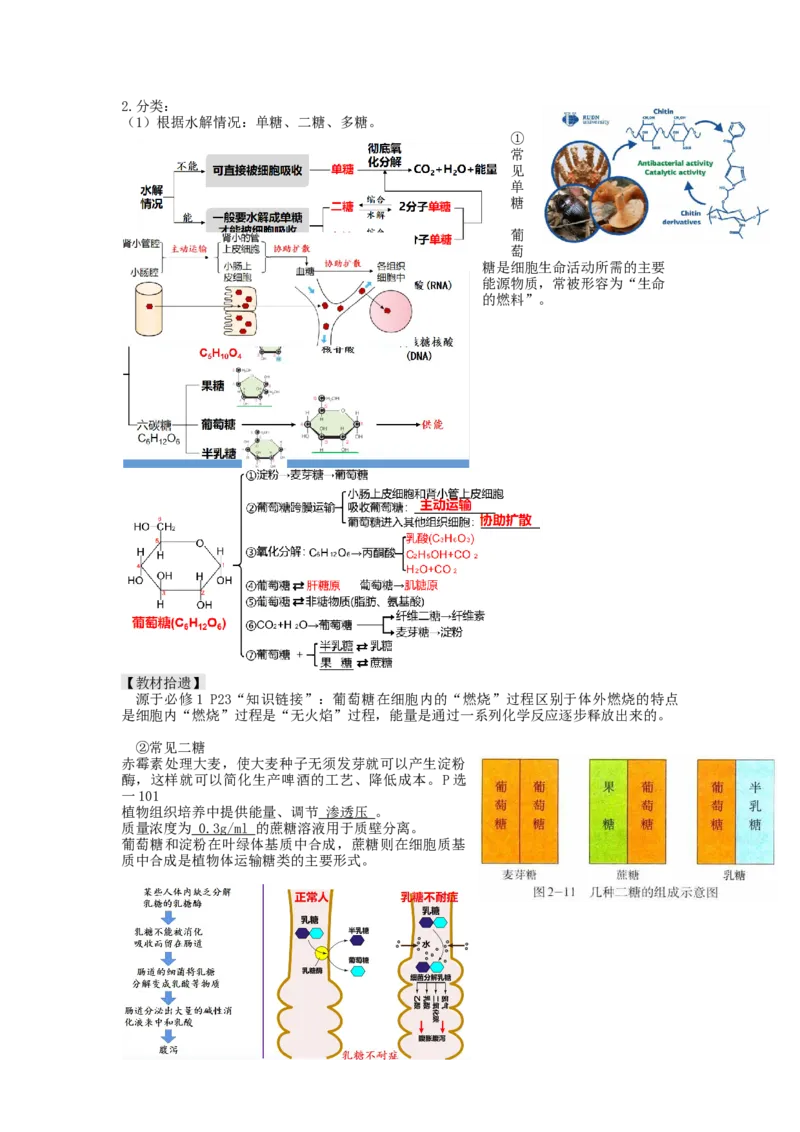 第3讲糖类和脂质（讲义）（学生版）_新高考复习资料_2024年新高考复习资料_一轮复习资料_完2024年高考生物一轮复习讲练测(课件+讲义+练习)（新高考）_讲义+练习