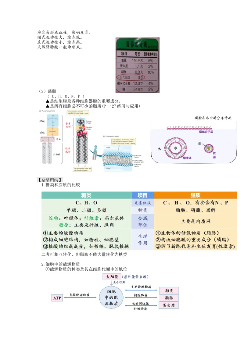 第3讲糖类和脂质（讲义）（学生版）_新高考复习资料_2024年新高考复习资料_一轮复习资料_完2024年高考生物一轮复习讲练测(课件+讲义+练习)（新高考）_讲义+练习