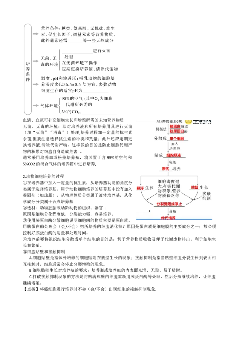 第41讲动物细胞工程（讲义）（学生版）_新高考复习资料_2024年新高考复习资料_一轮复习资料_完2024年高考生物一轮复习讲练测(课件+讲义+练习)（新高考）_讲义+练习