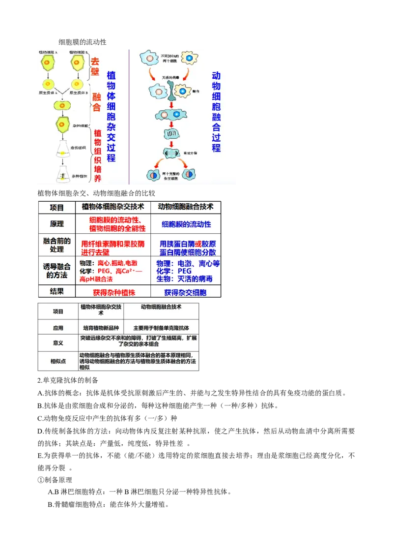 第41讲动物细胞工程（讲义）（学生版）_新高考复习资料_2024年新高考复习资料_一轮复习资料_完2024年高考生物一轮复习讲练测(课件+讲义+练习)（新高考）_讲义+练习
