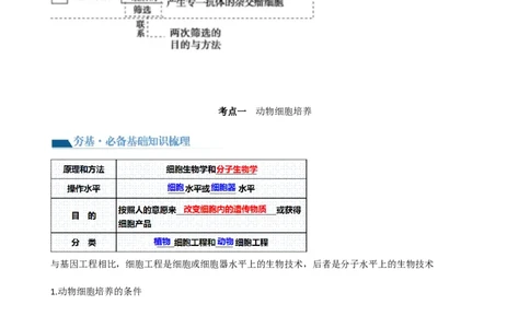 第41讲动物细胞工程（讲义）（学生版）_新高考复习资料_2024年新高考复习资料_一轮复习资料_完2024年高考生物一轮复习讲练测(课件+讲义+练习)（新高考）_讲义+练习