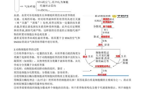 第41讲动物细胞工程（讲义）（学生版）_新高考复习资料_2024年新高考复习资料_一轮复习资料_完2024年高考生物一轮复习讲练测(课件+讲义+练习)（新高考）_讲义+练习