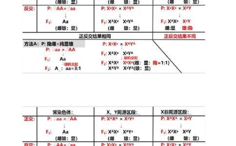 第19讲遗传综合实验分析（讲义）（学生版）_新高考复习资料_2024年新高考复习资料_一轮复习资料_完2024年高考生物一轮复习讲练测(课件+讲义+练习)（新高考）_讲义+练习
