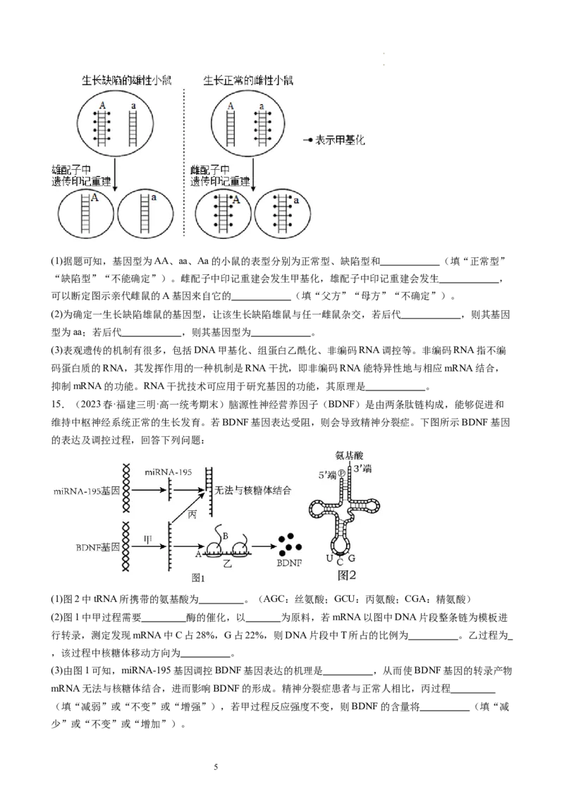 第22讲基因的表达、基因与性状的关系（练习）（原卷版）_新高考复习资料_2024年新高考复习资料_一轮复习资料_完2024年高考生物一轮复习讲练测(课件+讲义+练习)（新高考）_讲义+练习