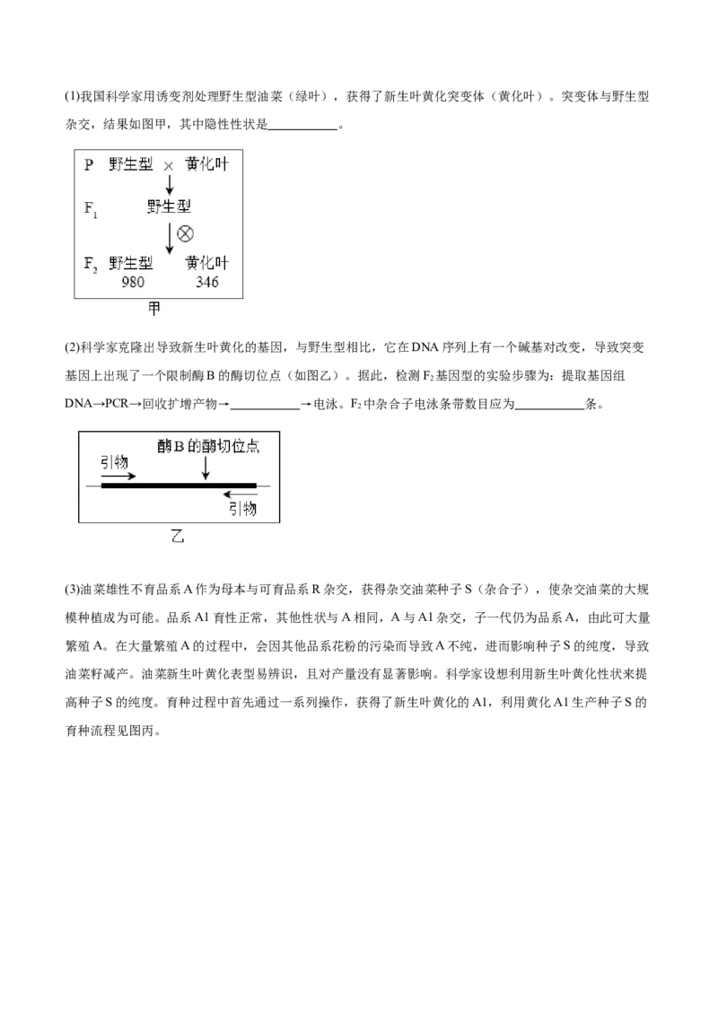 第1讲基因突变和基因重组（原卷版）_通用版（老高考）复习资料_2024年复习资料_完备战2024年高考生物一轮复习考点帮（全国通用）_专题八生物的变异和进化