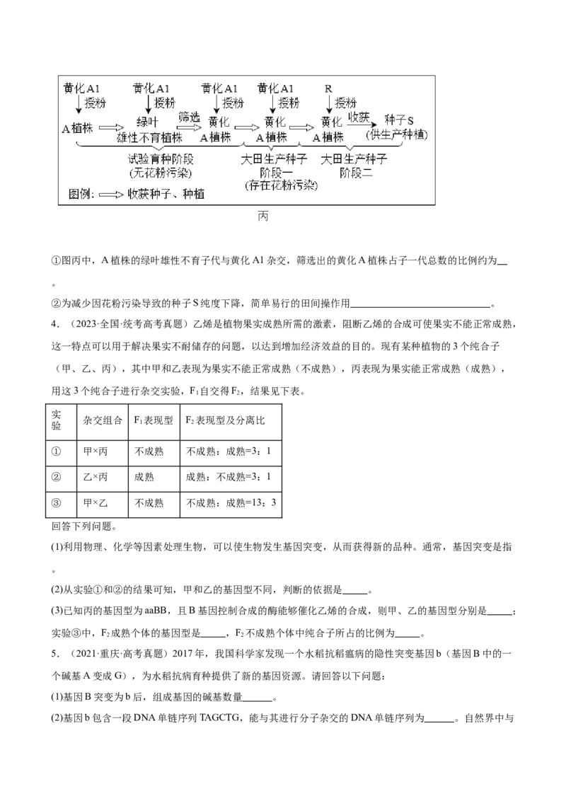 第1讲基因突变和基因重组（原卷版）_通用版（老高考）复习资料_2024年复习资料_完备战2024年高考生物一轮复习考点帮（全国通用）_专题八生物的变异和进化