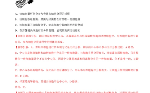 第2讲细胞的结构与功能、物质出入细胞的方式（检测）（解析版）_新高考复习资料_2023年新高考复习资料_二轮复习_2023年高考生物二轮复习讲练测（新教材专用）