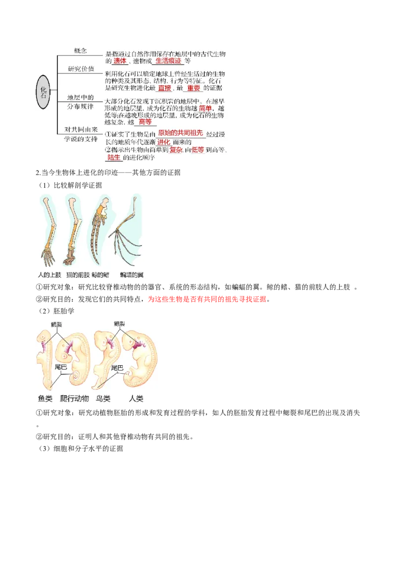 第23讲生物的进化（讲义）（解析版）_2025年新高考资料_一轮复习_2025年高考生物一轮复习讲练测（新教材新高考）