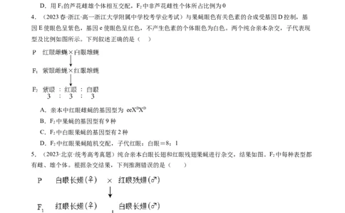 第19讲遗传综合实验分析（练习）（原卷版）_新高考复习资料_2024年新高考复习资料_一轮复习资料_完2024年高考生物一轮复习讲练测(课件+讲义+练习)（新高考）_讲义+练习
