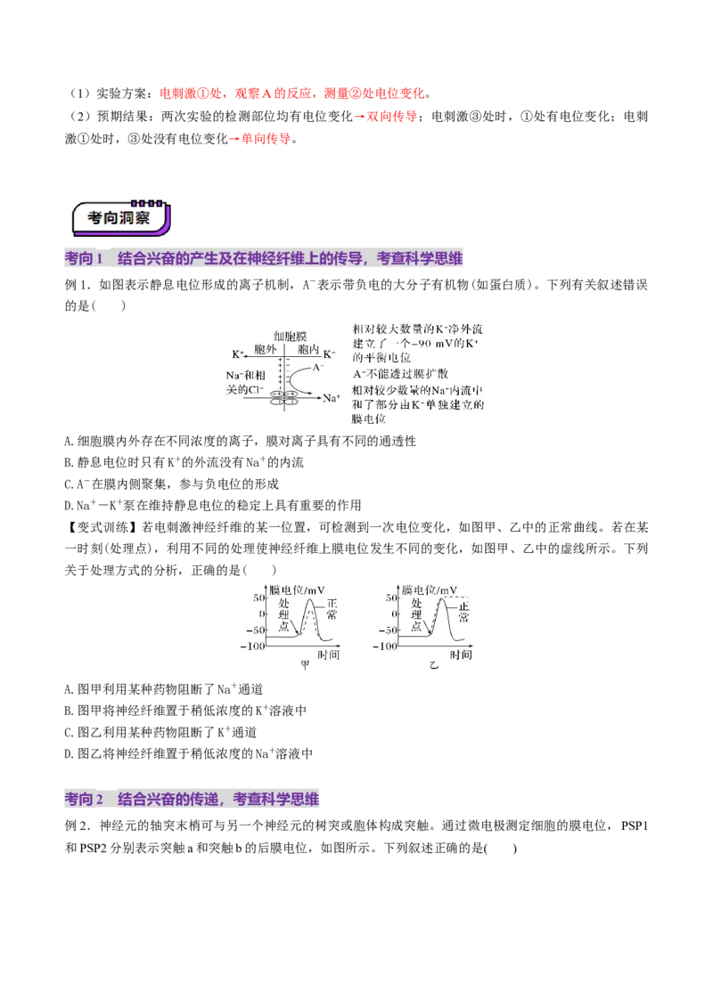 第25讲神经调节（第二课时，神经冲动的产生和传导、神经系统的分级调节和人脑的高级功能）（讲义）（原卷版）_2025年新高考资料_一轮复习